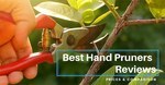 best hand pruners gardener pruning trees with pruning shears