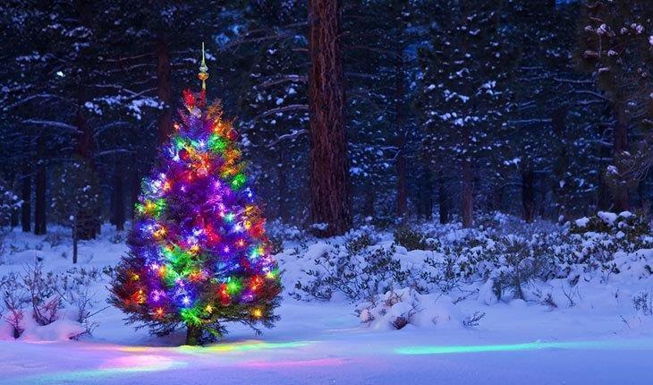 Outdoor-Christmas-Tree-with-Lights-outdoor-Laser-Lights